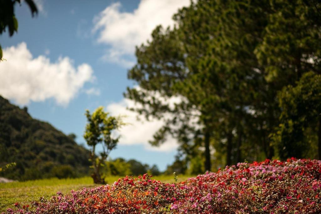 Sam Tuyen Lam Resort ดาลัด ภายนอก รูปภาพ